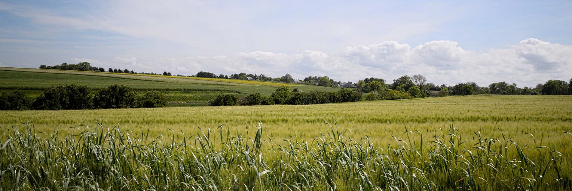 Inventer demain de nouvelles dynamiques pour les villages et les zones rurales, avec « l’Erasmus rural » et l’association InSite